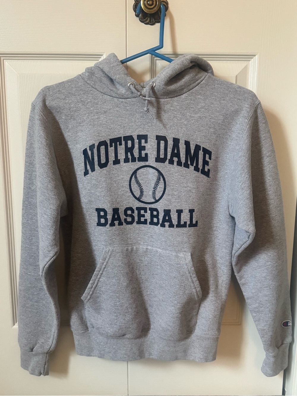 Champion Kids Gray Hoodie Sweatshirt